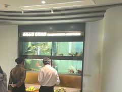 -阿五黄河大鲤鱼(英协路店)