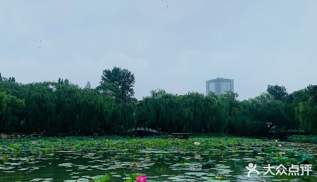 北京最值得去的免费公园｜紫竹院赏荷花🌸