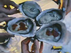 -Oyster Talks 四度蚝法餐厅