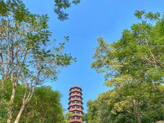 -红花山公园