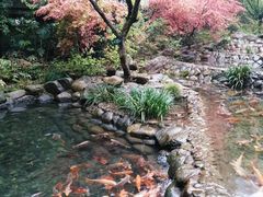 -好灶头妈妈菜·柴火灶台鱼·千岛湖土菜地标美食