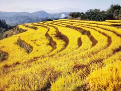 -梅州天地人花园酒店(梅县人民广场店)