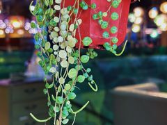 -美森西餐厅(曙光大道店)