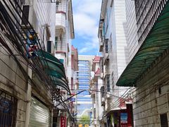 -华哥新鲜猪精品美食