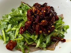 -大藏村拉面(保利首开·熙悦春天店)