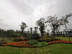 -府河摄影公园