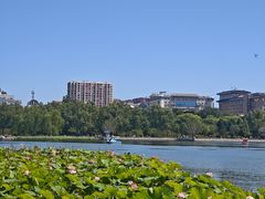 -莲花池公园
