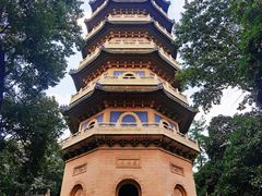 -灵谷景区