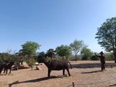 -北京西山国家森林公园