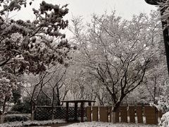 -南京眼步行桥