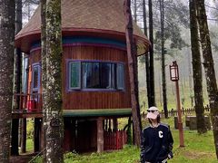 -洛阳白云山景区