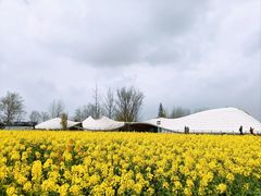 -中国天府农业博览园