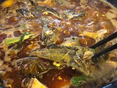 -金海椒罐罐鲢鱼(东方桂苑店)