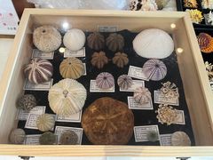 -浙江自然博物院(杭州馆)
