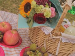 -长白岛森林公园