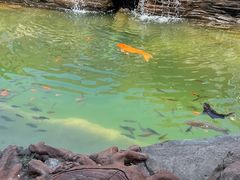-蓟州溶洞风景区