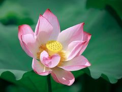 -白鹭湾湿地公园