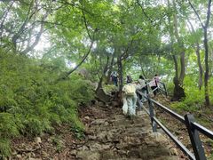 -王顺山国家森林公园