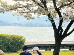 -蠡湖大桥公园