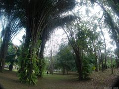 -中国科学院西双版纳热带植物园