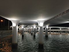 -演武大桥观景平台