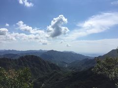 -大岭沟猕猴桃谷风景区