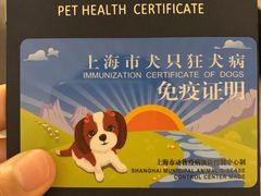 -申普宠物医院·心脏介入·心血管微创(总院)