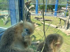 -大连森林动物园