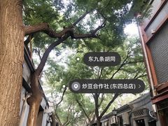 -炒豆合作社(东四总店)