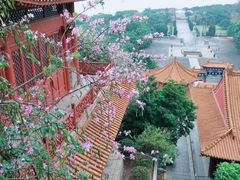 -南沙天后宫景区