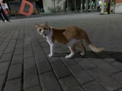 -F518时尚创意园