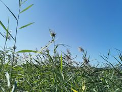 -永定河休闲森林公园