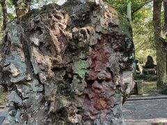 -海口火山口国家地质公园