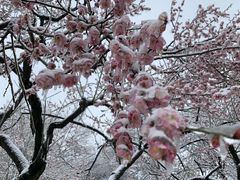 -东湖生态旅游风景区