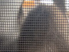 -艾贝尔宠物医院·24H转诊中心·肿瘤猫专科(江宁双龙店)