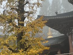 -径山寺