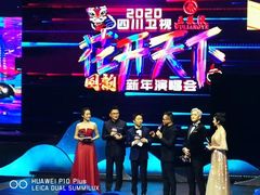 -成都金融城演艺中心
