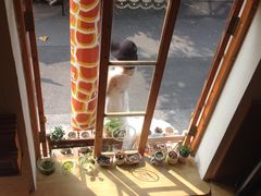 -长颈鹿咖啡(大学路店)