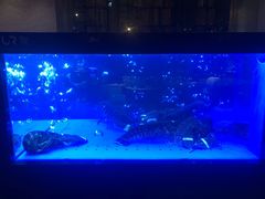 -AZUR聚(香格里拉饭店)