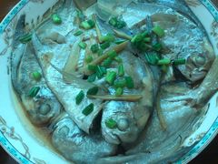 -臻爱住家月嫂育儿嫂(万达店)