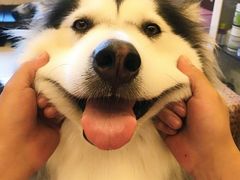 -同济大学四平路校区游泳馆