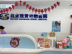 -北京观赏动物医院·24小时大型综合·猫专科·异宠专科