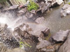 -济南植物园