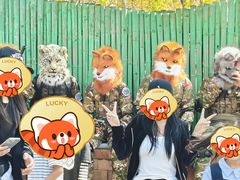 -鄂尔多斯野生动物园