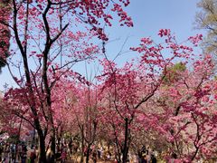 -昆明动物园