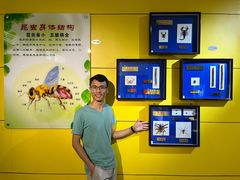 -上海昆虫博物馆