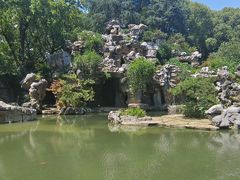 -红梅公园