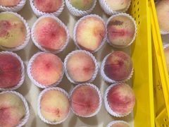 -老袁家蜜桃农场·阳山水蜜桃