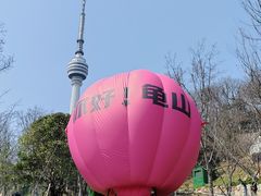 -龟山风景区-龟山电视塔