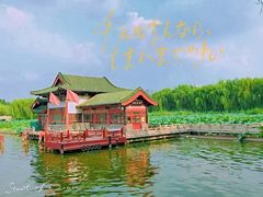 -济南大明湖景区
